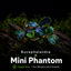 Buce - Mini Phantom