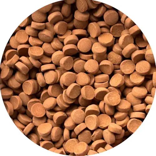 Dymax Jumbo Achieve 160g - FISH HUT AQUA AND PET SUPPLIES - #location#