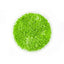 Utricularia Graminifolia (UG Carpet) - FISH HUT AQUA AND PET SUPPLIES - #location#