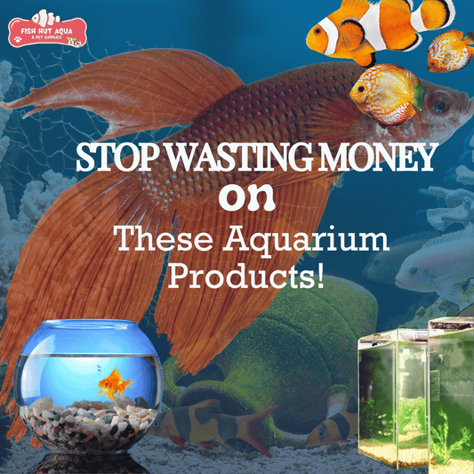 Stop Wasting Money On These Aquarium Products! - FISH HUT AQUA AND PET SUPPLIES