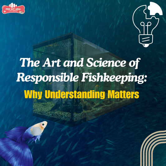 The Art and Science of Responsible Fishkeeping: Why Understanding Matters - FISH HUT AQUA AND PET SUPPLIES