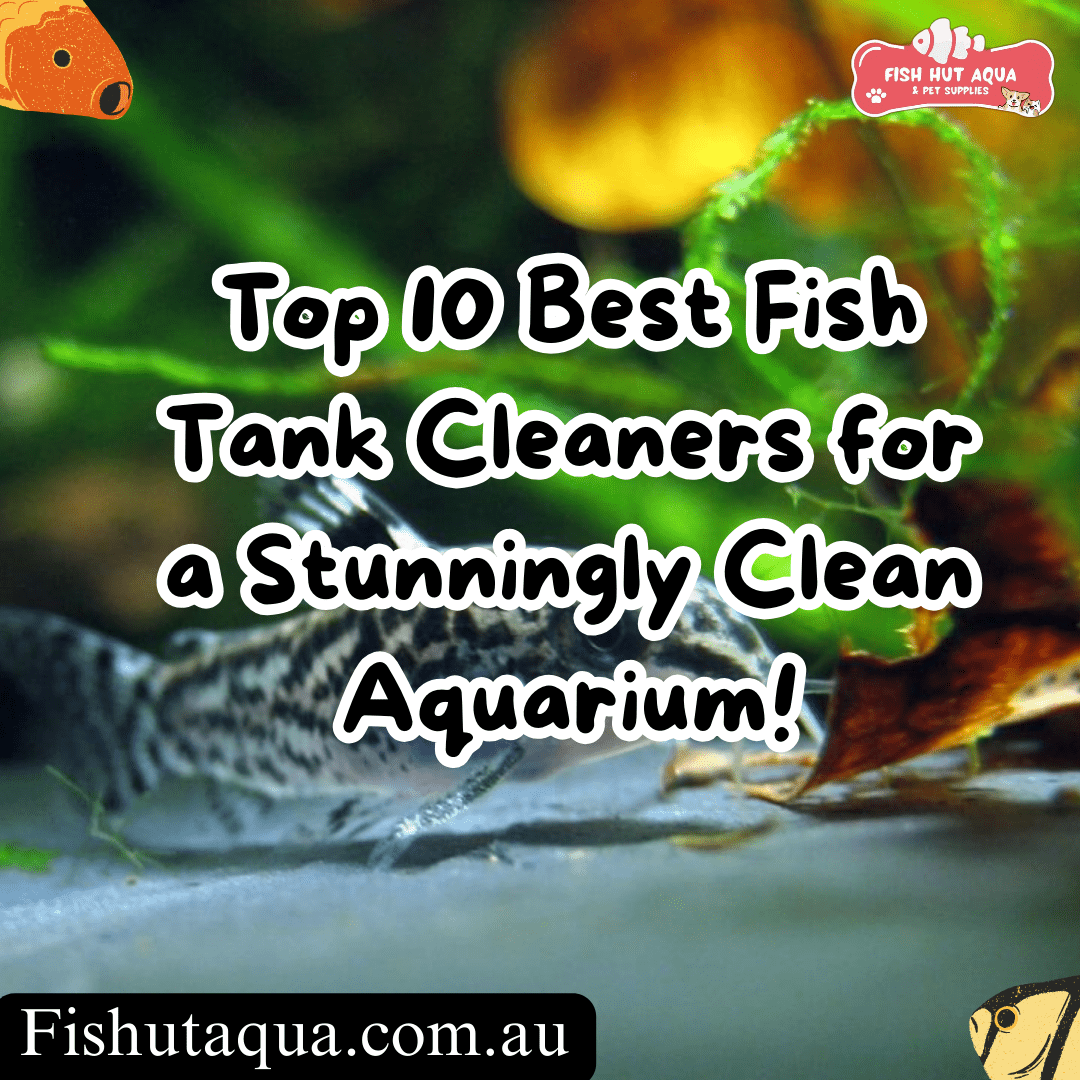 Top 10 Best Fish Tank Cleaners for a Stunningly Clean Aquarium! - FISH HUT AQUA AND PET SUPPLIES