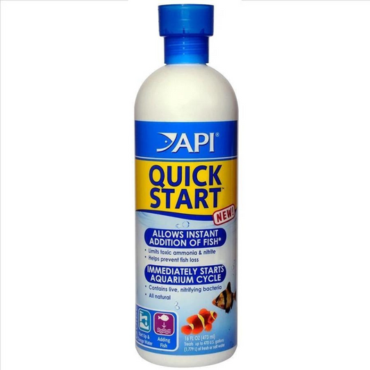 API Quick Start