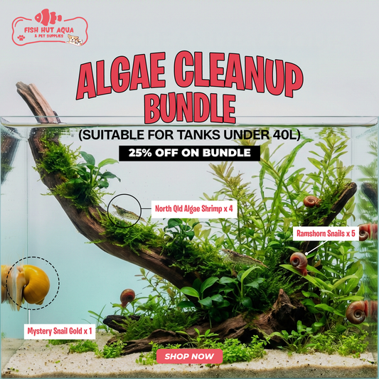 Algae Cleanup Bundle - 25% OFF