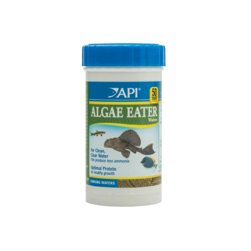 API Algae Eater Wafers - FISH HUT AQUA AND PET SUPPLIES