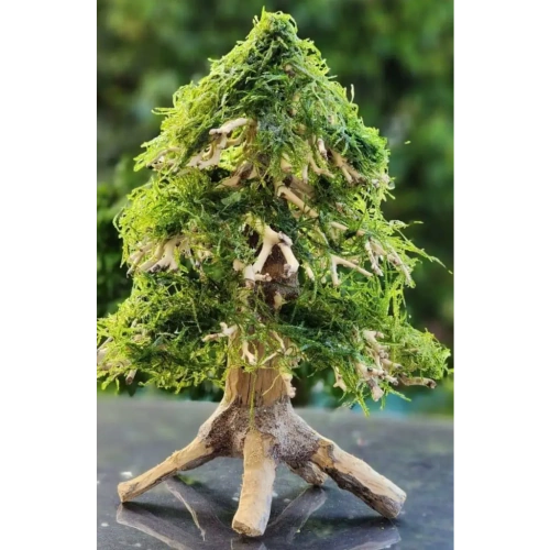 Handcrafted Aquarium Bonsai Christmas Trees - A Unique Underwater Wonderland - FISH HUT AQUA AND PET SUPPLIES