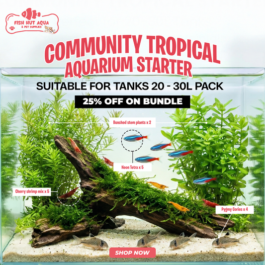 Community Tropical Aquarium Bundle - 25% OFF