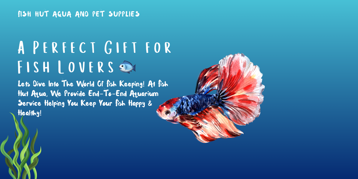 Fish Hut’s Gift Card - FISH HUT AQUA AND PET SUPPLIES