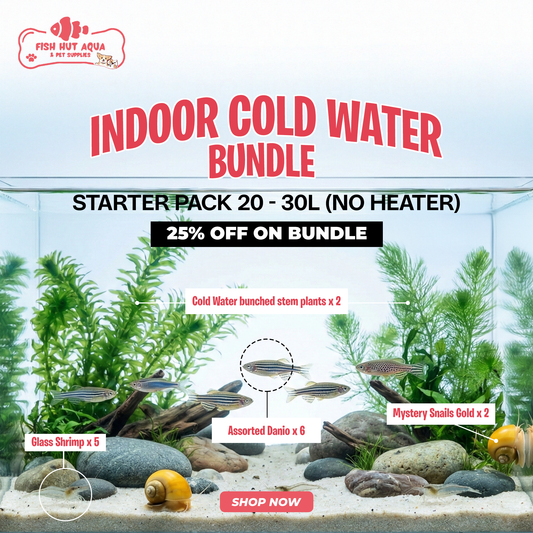 Indoor Cold Water Aquarium Bundle | No Heater Required - 25% OFF