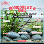 Indoor Cold Water Aquarium Bundle | No Heater Required - 25% OFF