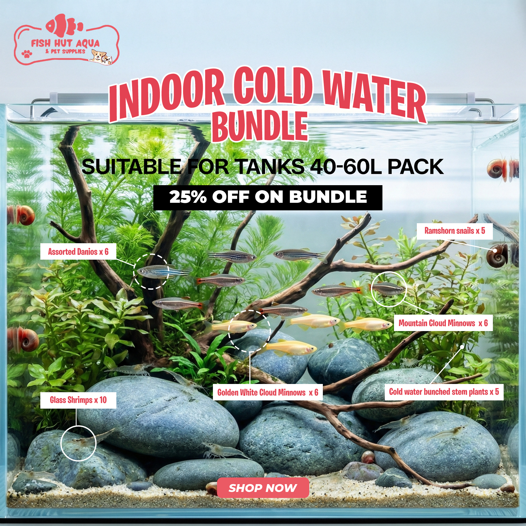 Indoor Cold Water Aquarium Bundle | No Heater Required - 25% OFF