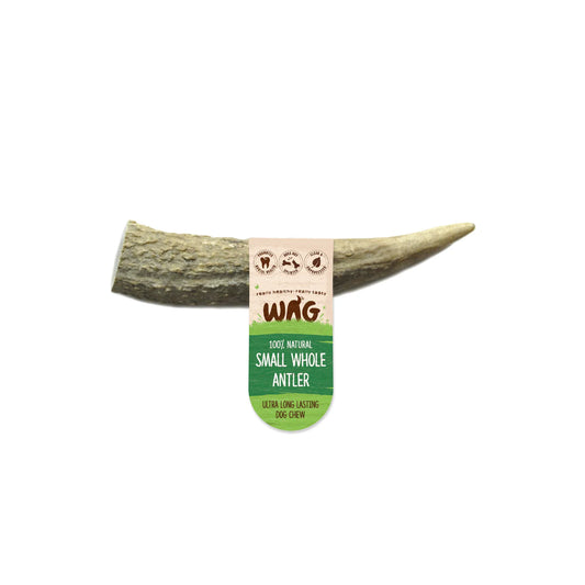 WAG Antler Whole Small