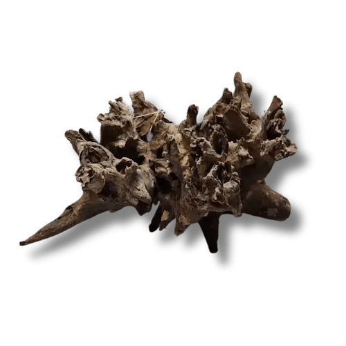 CORAL WOOD - Freshwater Suitable - FISH HUT AQUA AND PET SUPPLIES - #location# Main image
