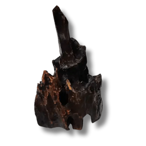 Dragon Wood Aquascaping Driftwood - FISH HUT AQUA AND PET SUPPLIES - #location#