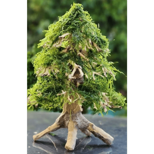 Handcrafted Aquarium Bonsai Christmas Trees - A Unique Underwater Wonderland - FISH HUT AQUA AND PET SUPPLIES - #location#