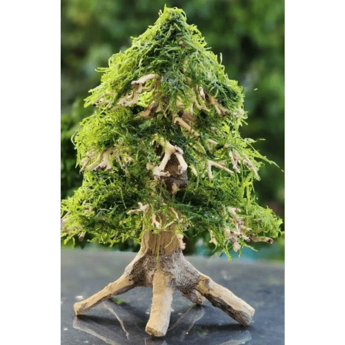 Handcrafted aquarium bonsai Christmas tree from Fish Hut Aqua and Pet Supplies Main image