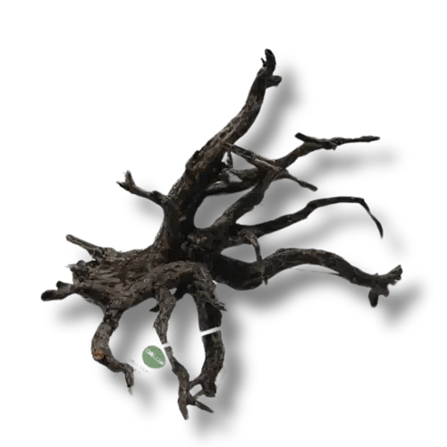 HAUNTED FOREST DRIFTWOOD - FISH HUT AQUA AND PET SUPPLIES - #location# Main image