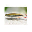 MADAGASCAR RAINBOW - FISH HUT AQUA AND PET SUPPLIES - #location#
