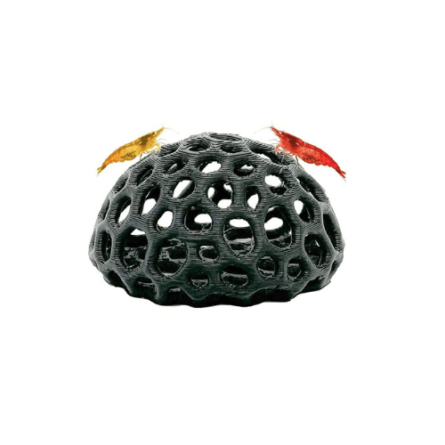 Mix Shrimp Pack of 10 + 2x Free Indian Almond Leaf Secondary image