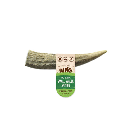 WAG Antler Whole Small - FISH HUT AQUA AND PET SUPPLIES - #location#