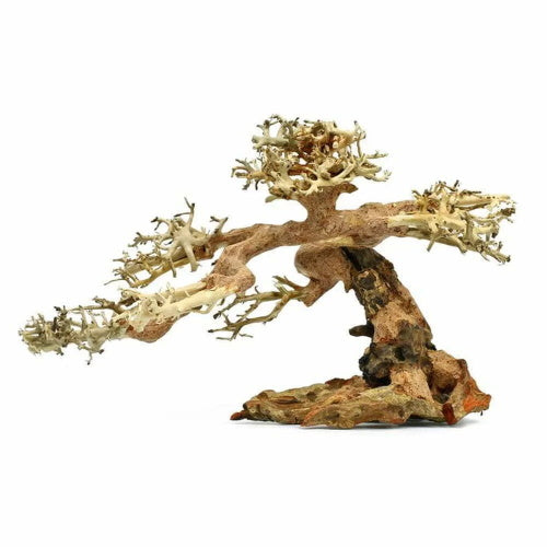 Aquarium Bonsai Tree - Small (15-20cm) - FISH HUT AQUA AND PET SUPPLIES