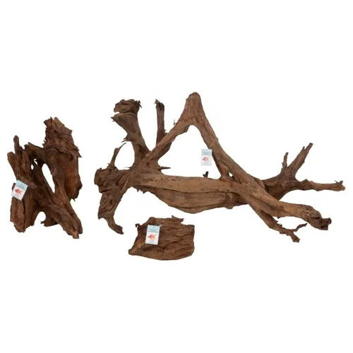 Driftwood - Mangrove Root Medium 20-30cm - FISH HUT AQUA AND PET SUPPLIES