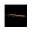 KULHI LOACH - BLACK - FISH HUT AQUA AND PET SUPPLIES - #location#